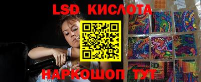 стафф Дубна
