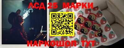 амф Донской