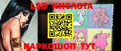 стафф Дубна
