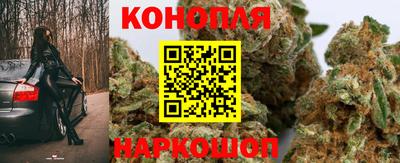 амф Донской
