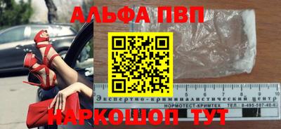 стафф Дубна
