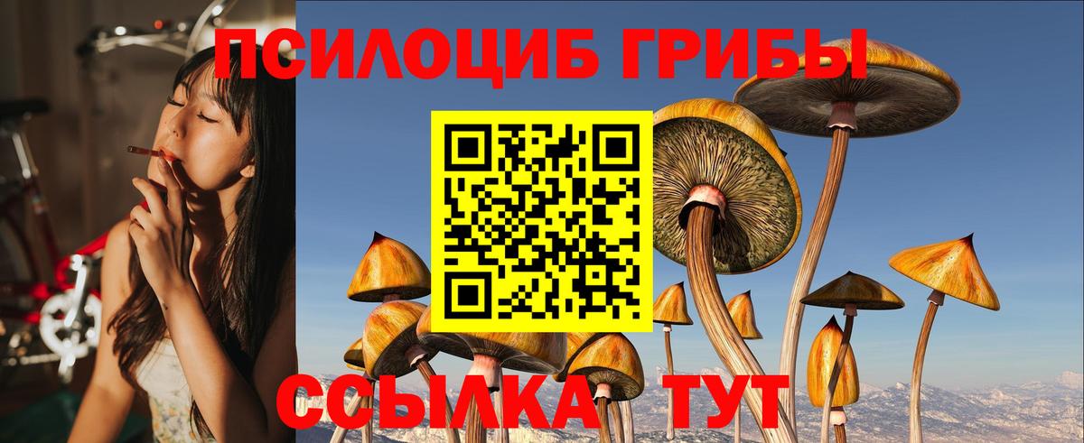 Псилоцибиновые грибы Psilocybe  Вход с VPN  Джанкой 